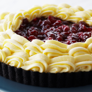 White Chocolate Cranberry Mousse Tart