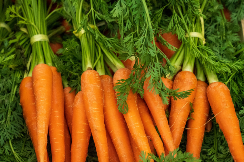 A bunch of carrots with leafy greens on top