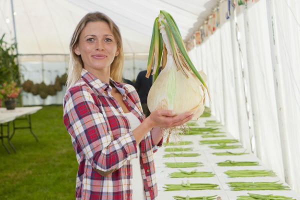 The World's Largest Onion