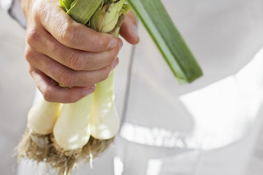 hand holding a bunch of leeks