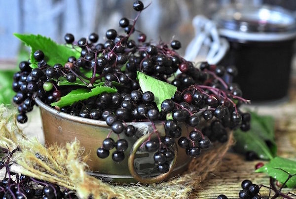 Elderberries