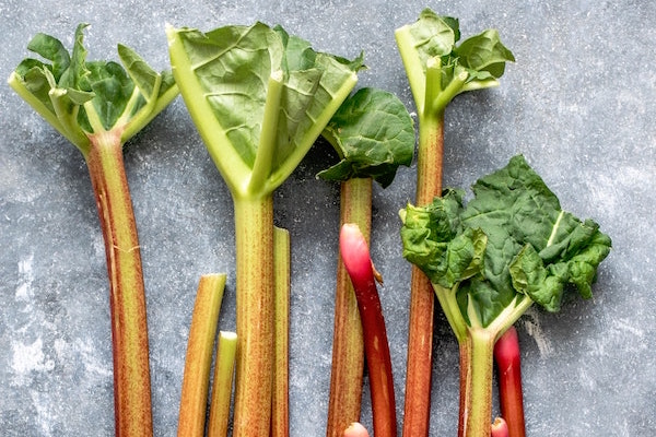 Rhubarb Leaves