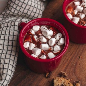 Vegan Creamy Coconut Hot Chocolate