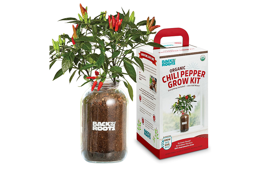 Back to the Roots Non-GMO Chili Planter