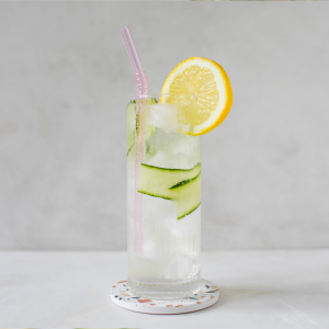 Lemon and Cucumber Gin Fizz