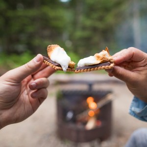 5 Fun Ways to Use Célébration Cookies This Summer