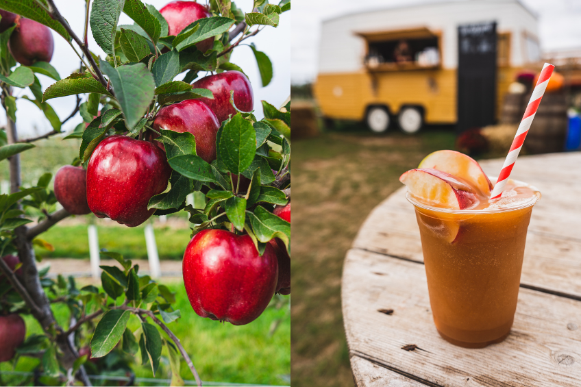 Apples and apple flavoured drink collage