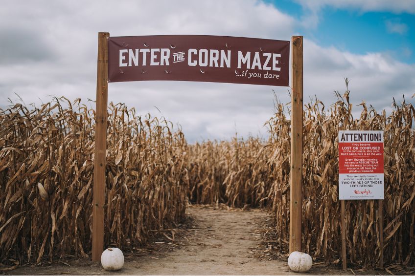 Corn maze