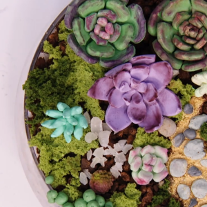 A Chocolate Terrarium That Is Almost Too Pretty To Eat