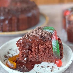 Earth Day Mud Cake